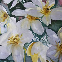 Clematis – Flowers Art Gallery – Painting by Woking Surrey Artist David Harmer