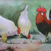 Cockerel with Hens – Animals and Plants Art Gallery – Painting by Woking Surrey Artist David Harmer