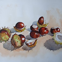 Conkers – Horse Chestnut – Plants & Trees Art Gallery – Watercolour Painting – Art by Woking Surrey Artist David Harmer