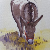 Contented Donkey – Animals and Plants Art Gallery – Painting by Woking Surrey Artist David Harmer