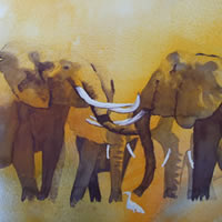 Elephants – Welcome Back – Watercolour Art by Woking Surrey Artist David Harmer