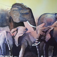 Elephants Waiting For The Rains – Watercolour Art by Woking Surrey Artist David Harmer