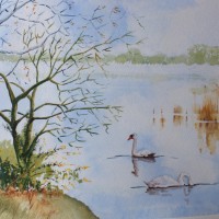 Frensham Little Pond – Surrey Scenes Art Gallery – Painting by Woking Surrey Artist David Harmer