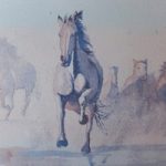 Galloping Horses – Animals, Birds and Plants Art Gallery – Painting by Woking Surrey Artist David Harmer