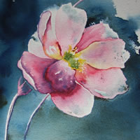 Japanese Anemone – Flowers Art Gallery – Watercolour Painting – Art by Woking Surrey Artist David Harmer