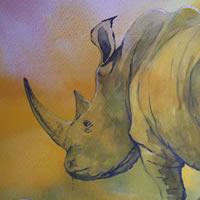 Rhino – Watercolour Art by Woking Surrey Artist David Harmer