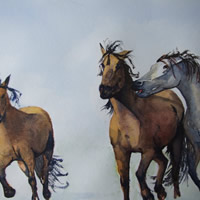 Wild Horses – Watercolour Art by Woking Surrey Artist David Harmer