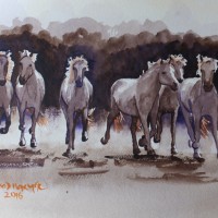 Wild Horses of the Camargue – Animals, Birds and Plants Art Gallery – Painting by Woking Surrey Artist David Harmer