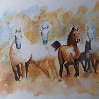 Horses out of the Mist – Animals Art Gallery
