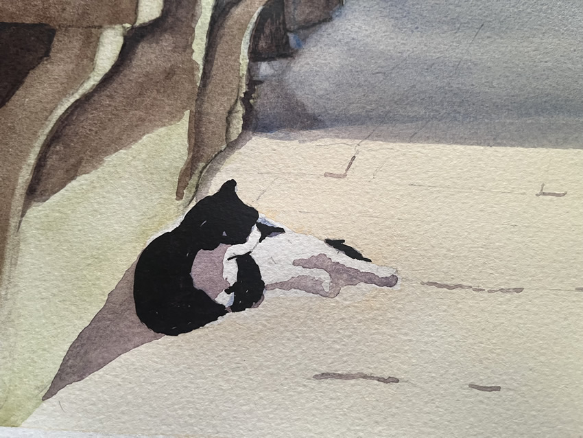 Alley Cat Close Up