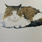 Cat Portrait – Watercolour Painting Commission – Pepe